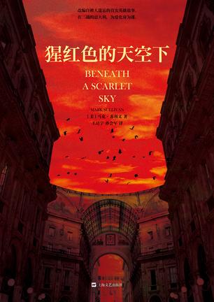 猩红色的天空下-简册 公版电子书下载 无版权电子书 绝版书 公版书籍 高清古籍古书下载 地方志 县志 家谱PDF下载