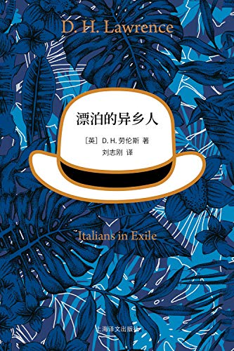 漂泊的异乡人-简册 公版电子书下载 无版权电子书 绝版书 公版书籍 高清古籍古书下载 地方志 县志 家谱PDF下载