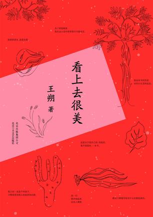 看上去很美-简册 公版电子书下载 无版权电子书 绝版书 公版书籍 高清古籍古书下载 地方志 县志 家谱PDF下载