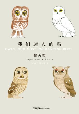 我们迷人的鸟：猫头鹰-简册 公版电子书下载 无版权电子书 绝版书 公版书籍 高清古籍古书下载 地方志 县志 家谱PDF下载