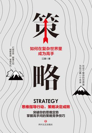 策略：如何在复杂的世界里成为高手-简册 公版电子书下载 无版权电子书 绝版书 公版书籍 高清古籍古书下载 地方志 县志 家谱PDF下载