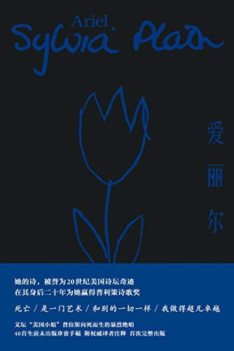 爱丽尔（果麦经典）-简册 公版电子书下载 无版权电子书 绝版书 公版书籍 高清古籍古书下载 地方志 县志 家谱PDF下载