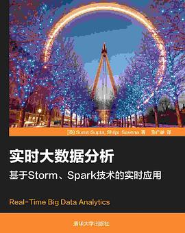 实时大数据分析基于Storm、Spark技术的实时应用 pdf高清扫描版